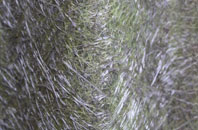 Chase Hill fibreglass roof work